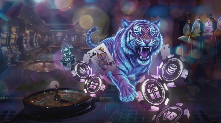 Stake casino DK